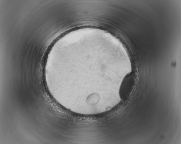 X0000114530975200911301135