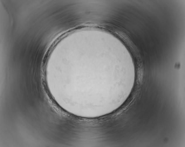 X0000114530976200911301135