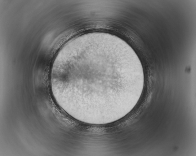 X0000114530977200911301135