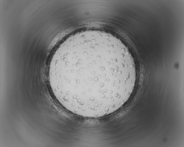 X0000114530978200911301135