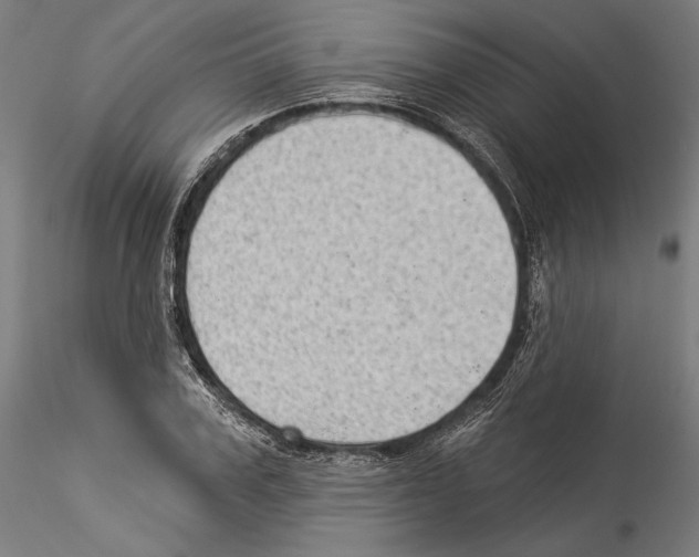 X0000114530979200911301135