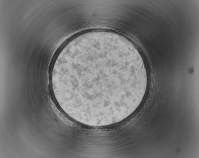 X0000114530980200911301135