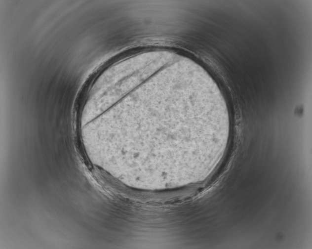 X0000114530981200911301135