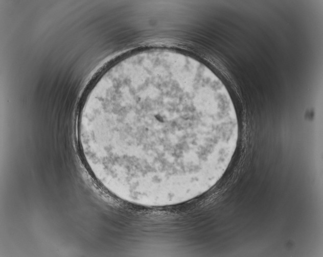 X0000114530984200911301135