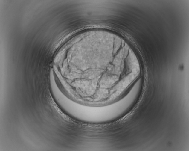 X0000114530985200911301135