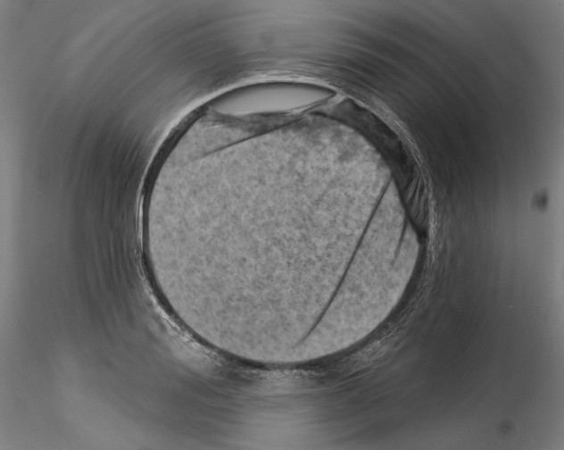 X0000114530988200911301134