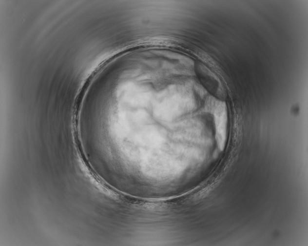 X0000114530989200911301134