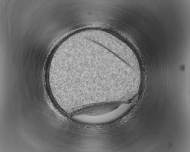 X0000114530991200911301134