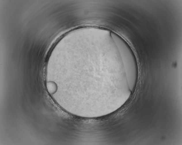 X0000114530992200911301134