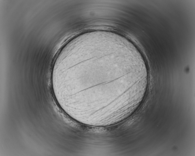 X0000114530994200911301134