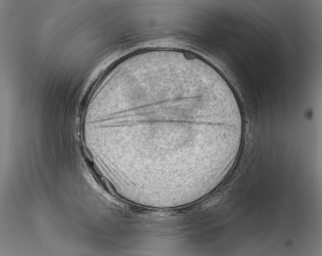 X0000114530998200911301134