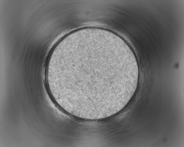 X0000114530999200911301134