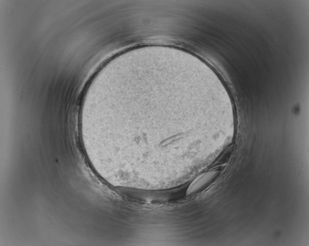 X0000114531000200911301134