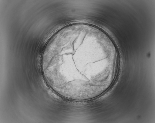 X0000114531001200911301134