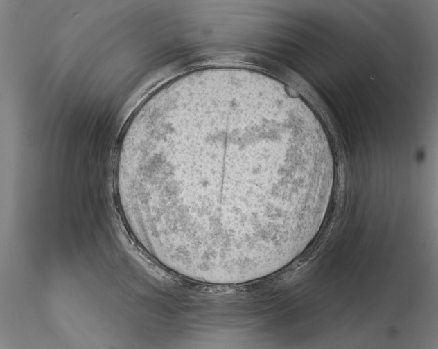 X0000114531002200911301134