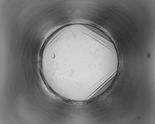 X0000114531003200911301134