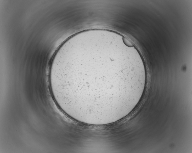 X0000114531006200911301134