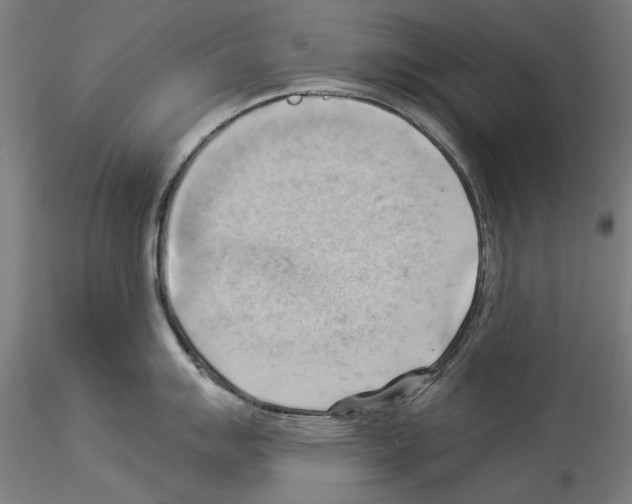 X0000114531007200911301134