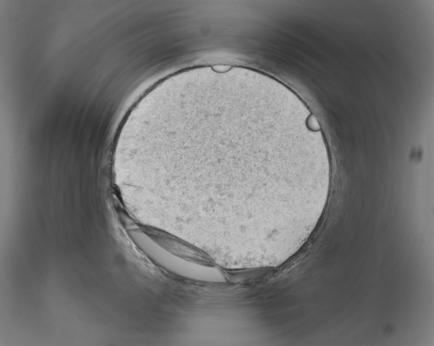 X0000114531008200911301134