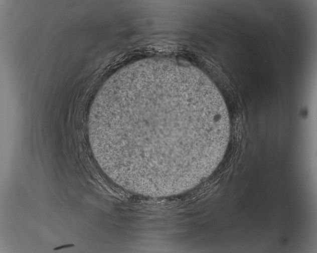 X0000114531009200911301134