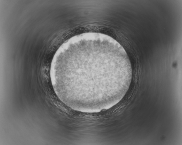 X0000114531010200911301134