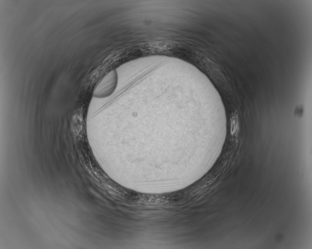 X0000114531011200911301134