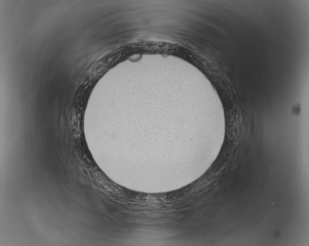 X0000114531013200911301134