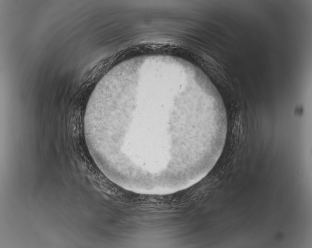 X0000114531014200911301134