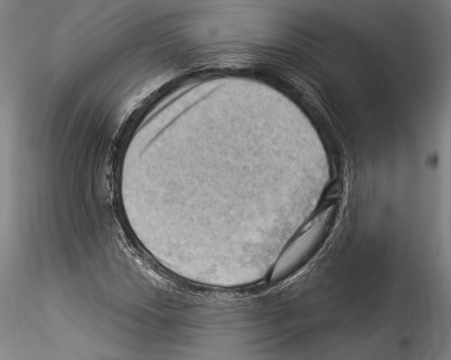 X0000114531018200911301134