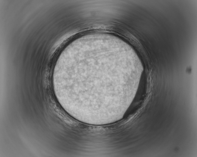 X0000114531019200911301134