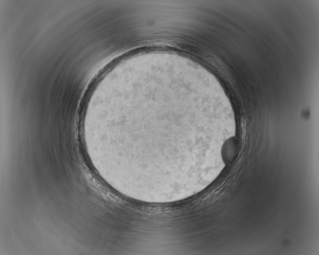 X0000114531020200911301134