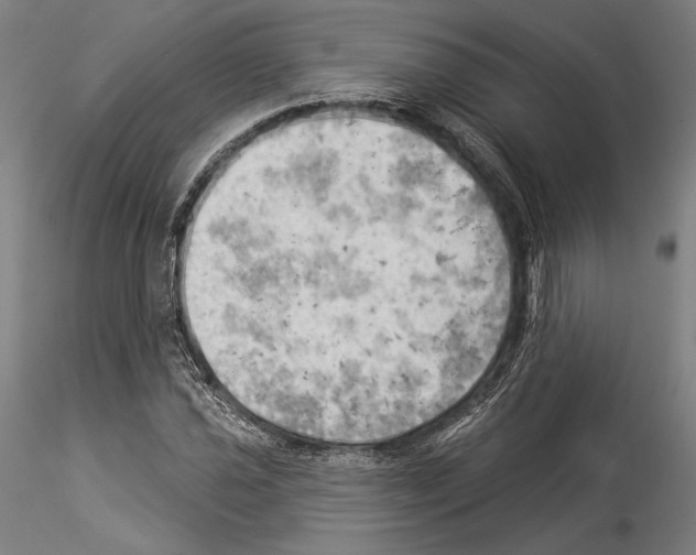 X0000114531021200911301134