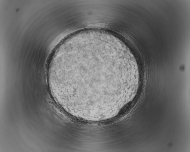 X0000114531022200911301134