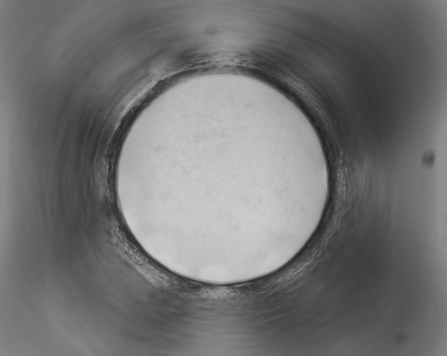 X0000114531023200911301134