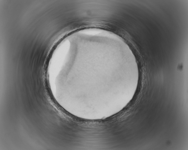 X0000114531024200911301134