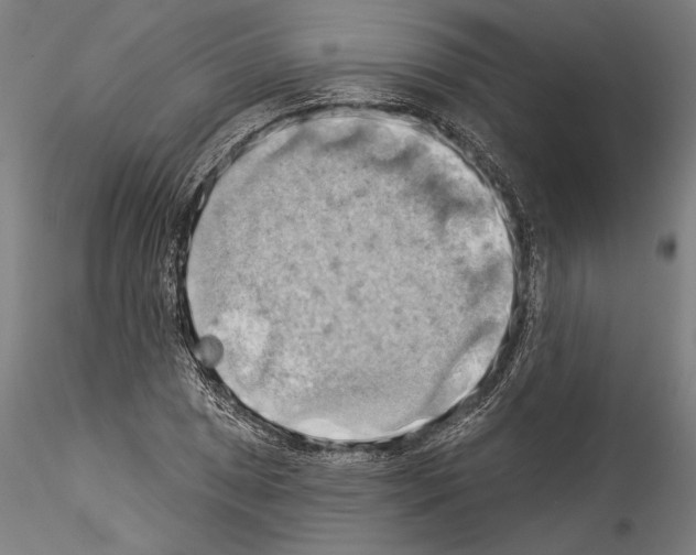 X0000114531025200911301134