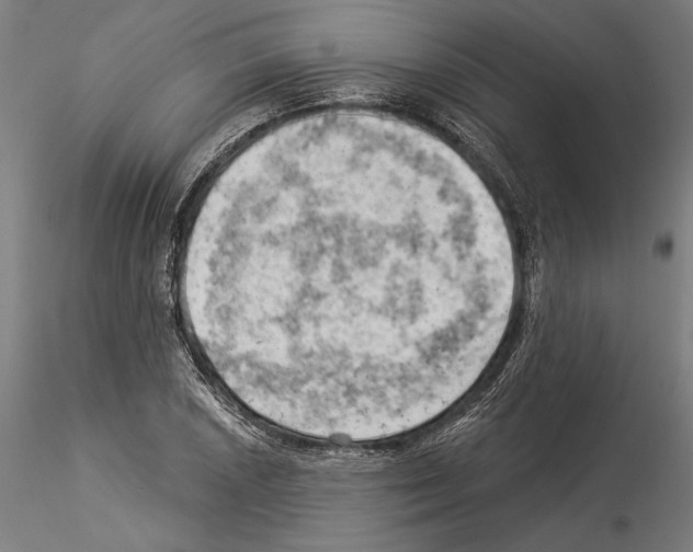 X0000114531026200911301134