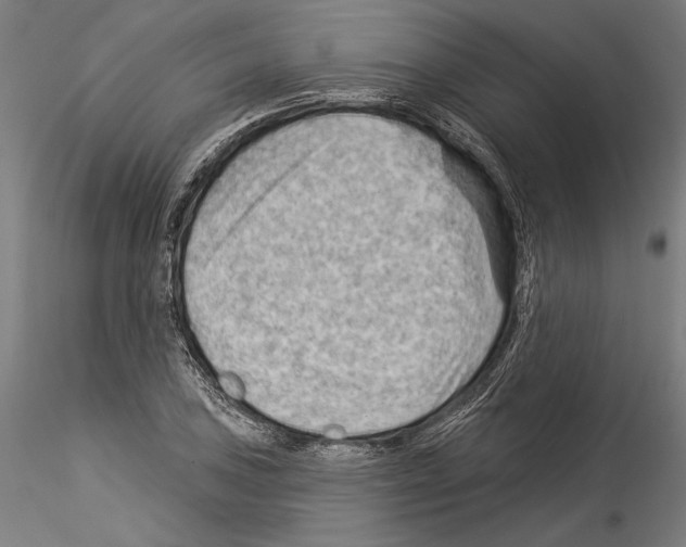 X0000114531027200911301134