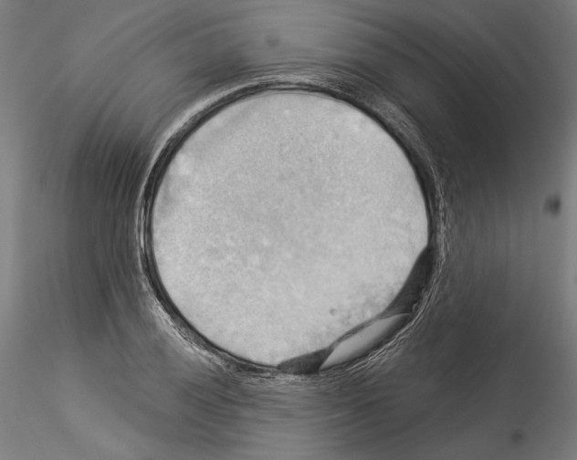 X0000114531028200911301134