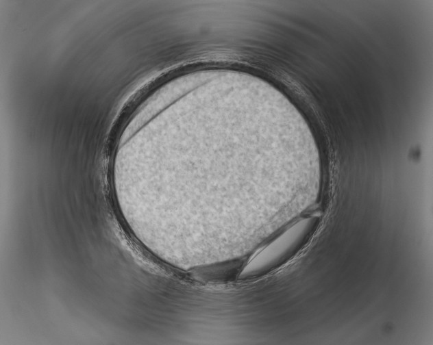 X0000114531029200911301134