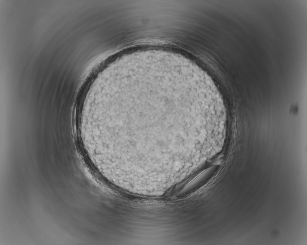 X0000114531030200911301134