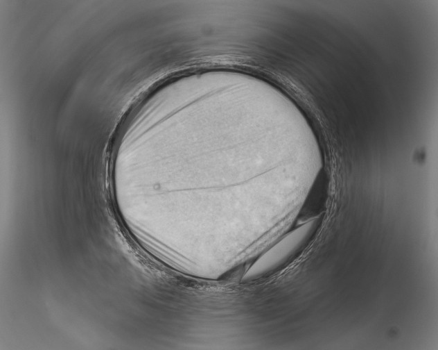 X0000114531031200911301134