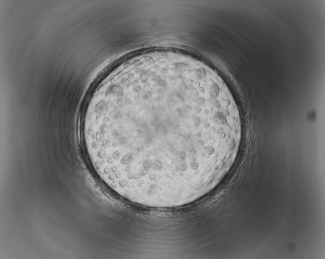 X0000114531032200911301134