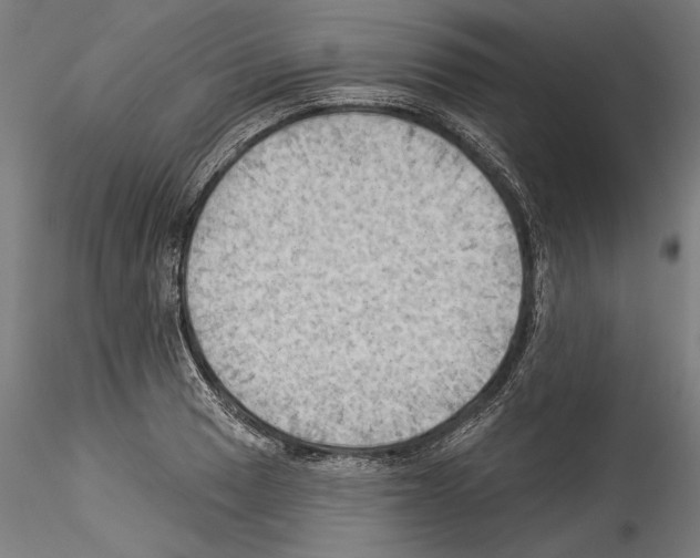 X0000114531033200911301134