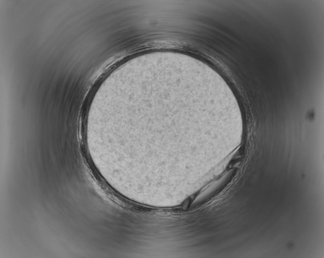 X0000114531034200911301134