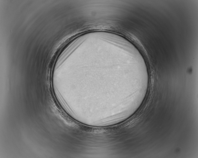 X0000114531035200911301134