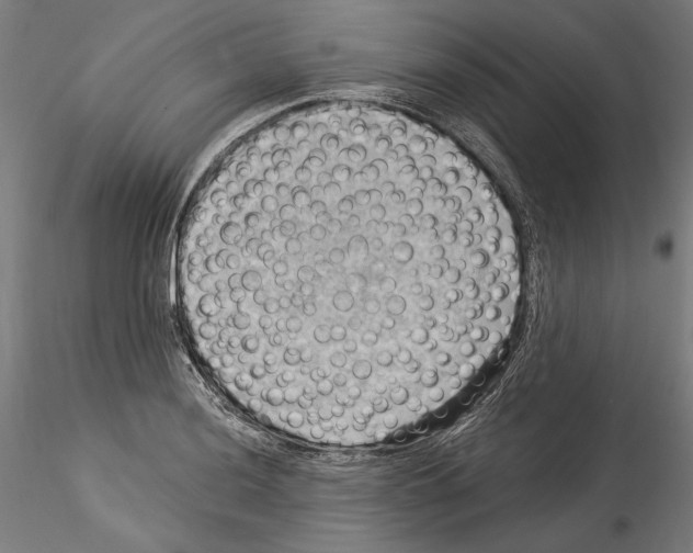 X0000114531036200911301134