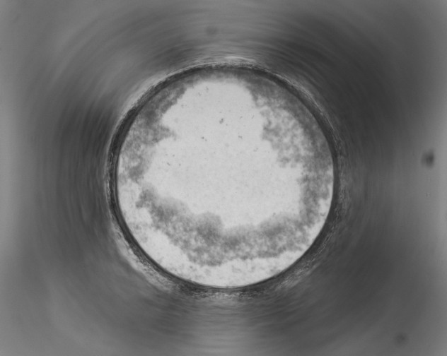 X0000114531038200911301134