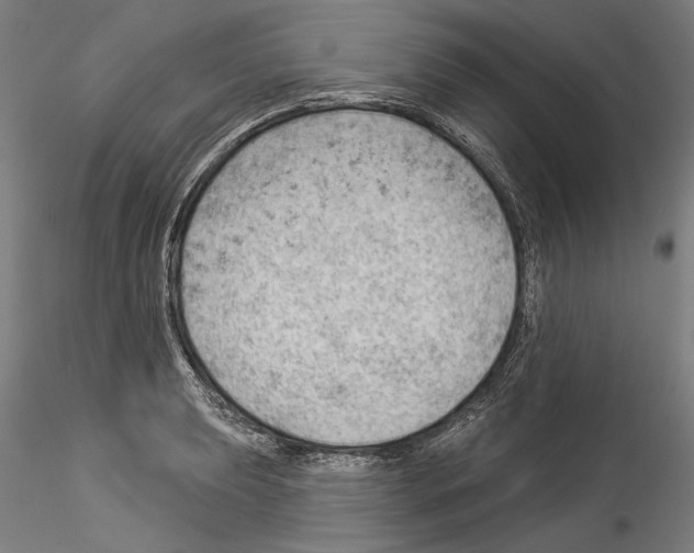 X0000114531039200911301134