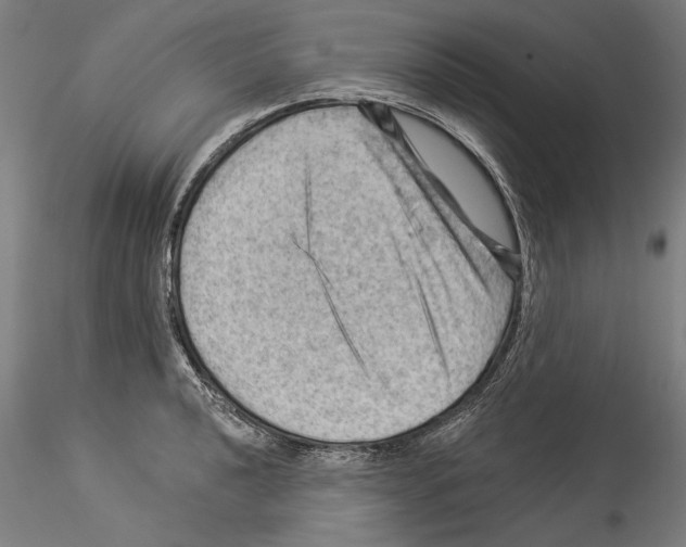 X0000114531040200911301134